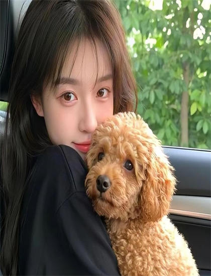 《第十二夜》适合什么人观看？目标观众群体分析